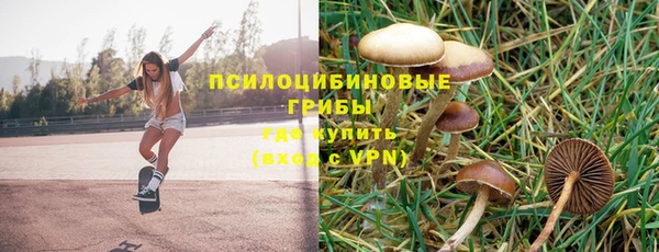 стаф Балахна