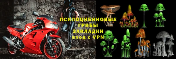 стаф Балахна
