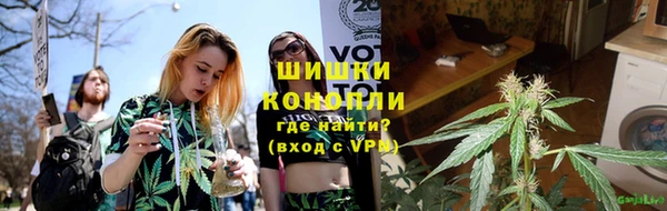 стаф Балахна