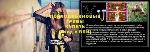 стаф Балахна